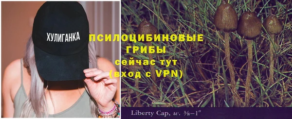ALPHA-PVP Алзамай
