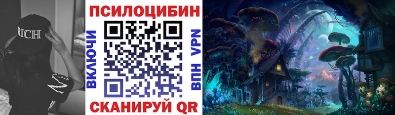 OMG вход  Котельники  Галлюциногенные грибы Cubensis 